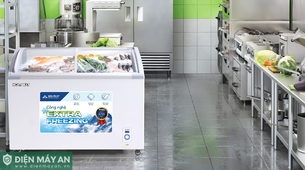 Tủ đông trưng bày Hòa Phát Inverter 451 lít HSF-AD8451.C1